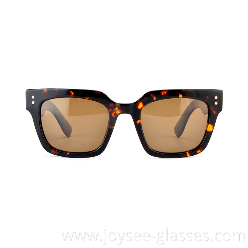 Big Lenses Sunshades 3